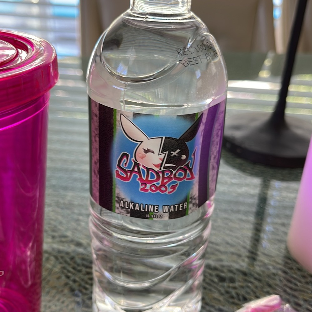 Trisha’s SADBOY2005 16oz. Tumbler/Straw/Water Bottle NWT - Picture 4 of 5
